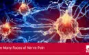 blog header image showing nerves activating a caption reads the many faces of nerve pain
