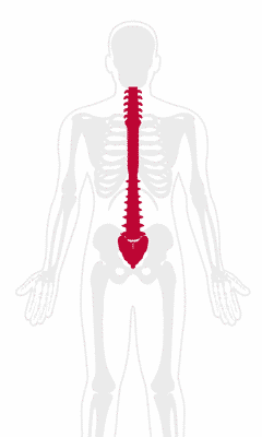 Back Pain Treatment