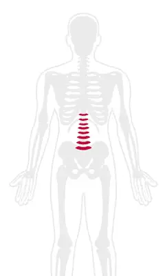 Degenerative Disc Disease Pain