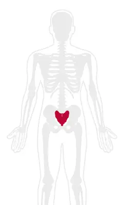 Sacroiliac Joint Pain Treatment