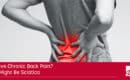 chronic back pain sciatica