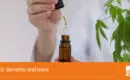 CBD: benefits and Uses