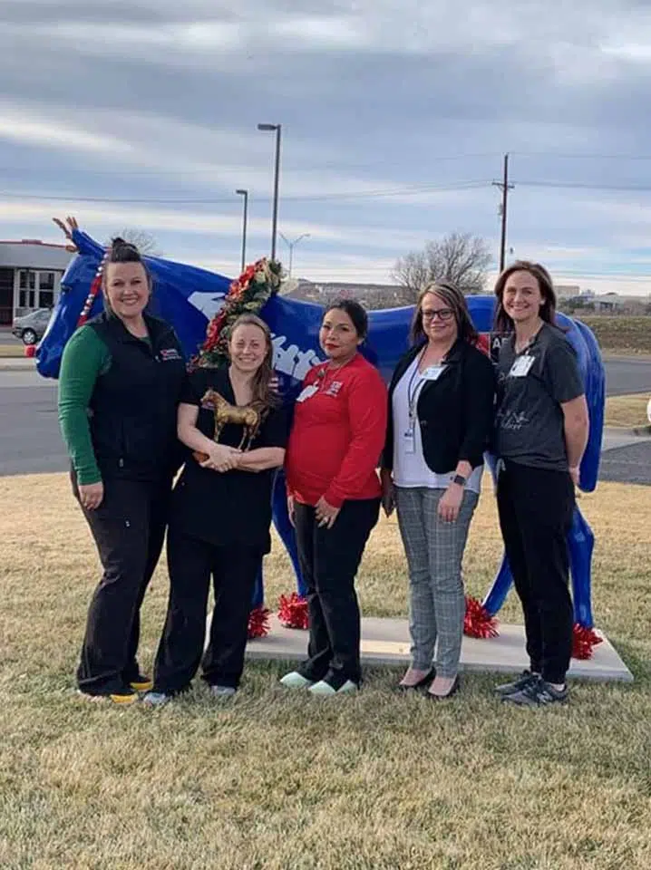 Deck the Herd — Austin — First Place