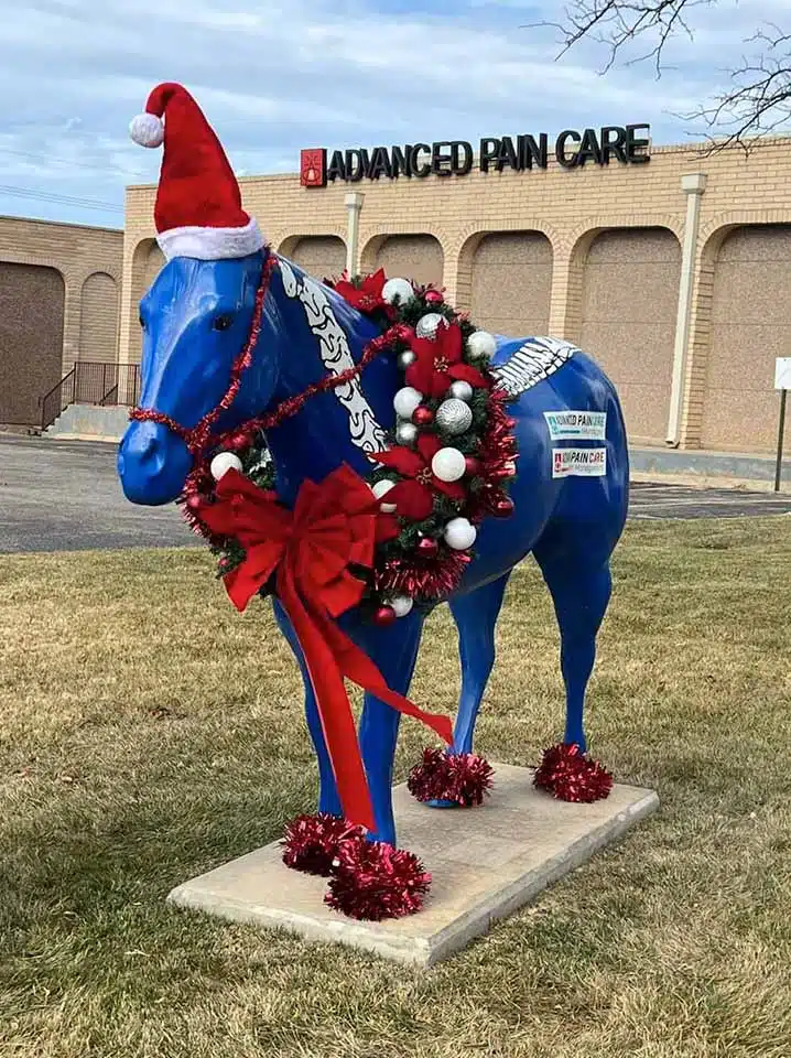 Deck the Herd — Austin — First Place